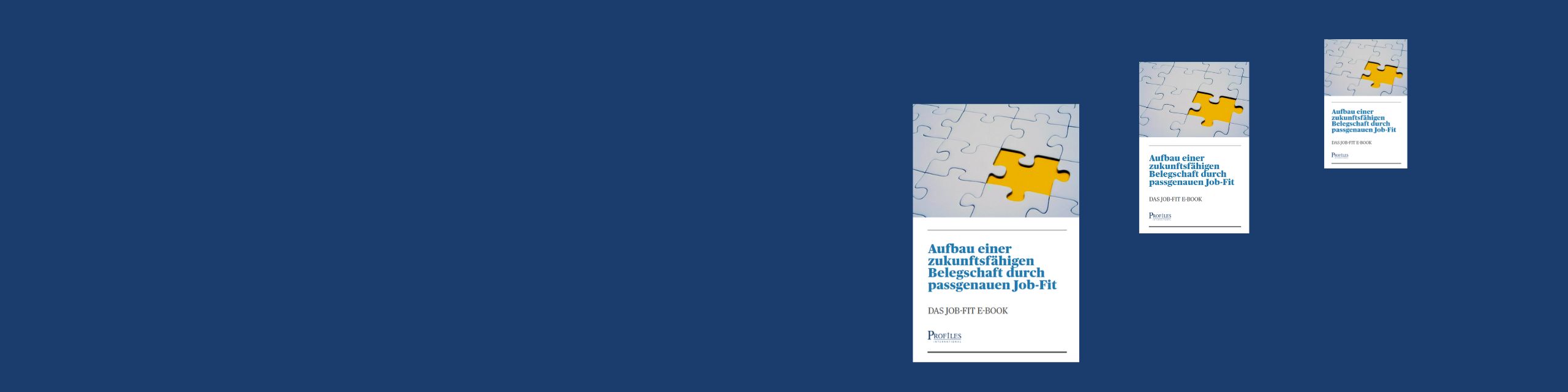Wiley & Profiles veröffentlicht ein neues Ebook - Job-FIT: Die Macht der richtigen Person